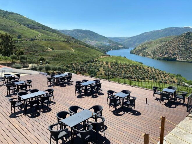 Douro Valley: Quinta De S. Luiz Winery Tour and Tasting - Tour Highlights