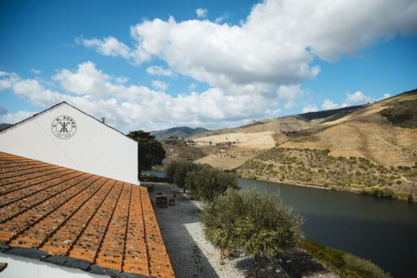 Douro Valley: Quinta De S. Luiz Winery Tour and Tasting - Important Tour Information