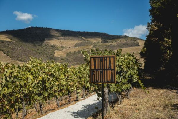 Douro Valley: Quinta De S. Luiz Winery Tour and Tasting - Frequently Asked Questions