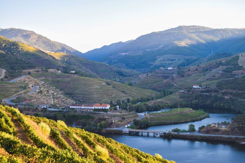 Douro Valley: Quinta do Tedo Wine Experience with Picnic - Good To Know