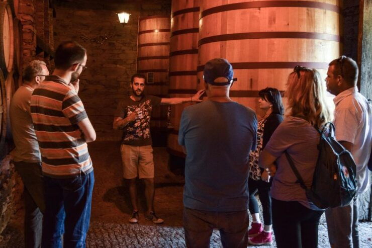 Douro Valley: Quinta Do Tedo Wine Experience With Picnic - Booking Information