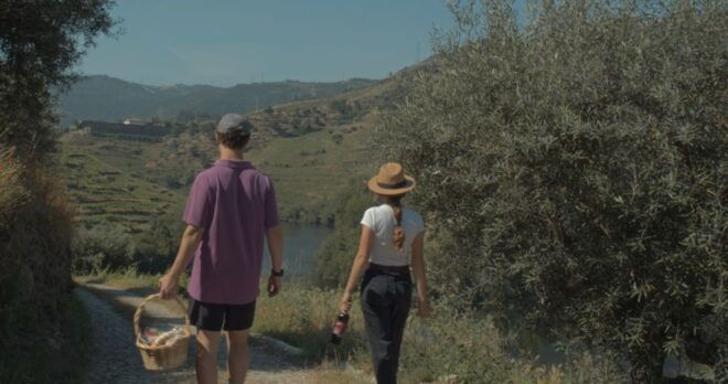 Douro Valley: Quinta Do Tedo Wine Experience With Picnic - Additional Information