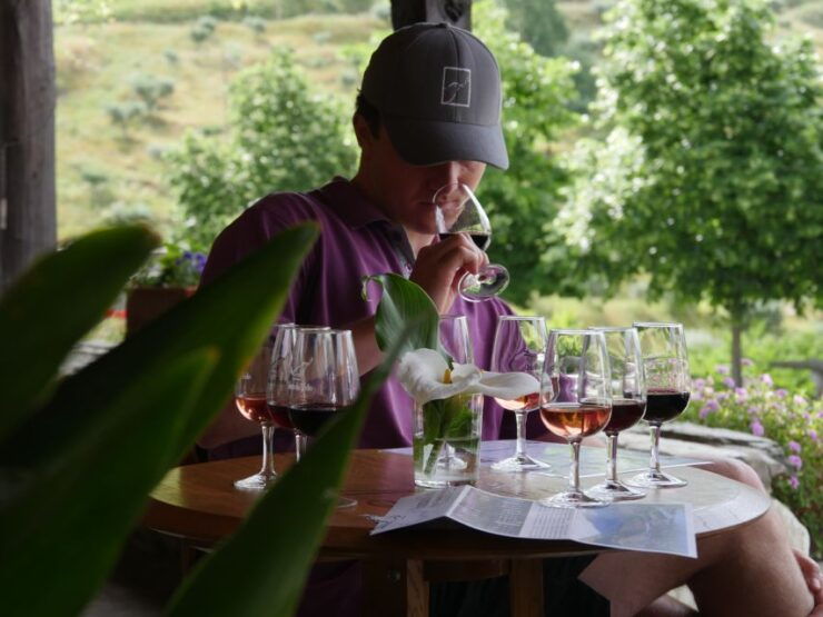 Douro Valley: Quinta Do Tedo Winery Tour and Tasting - Activity Details