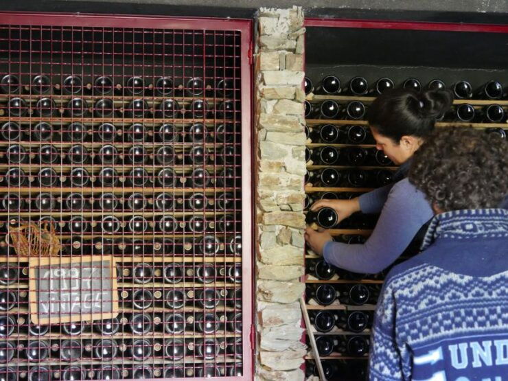 Douro Valley: Quinta Do Tedo Winery Tour and Tasting - Booking Information