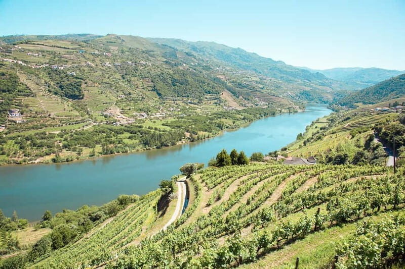 Douro Valley: Real Small-Group, Wine Tasting, Lunch & Boat - Discovering the Douro Valley: Beyond the Basics
