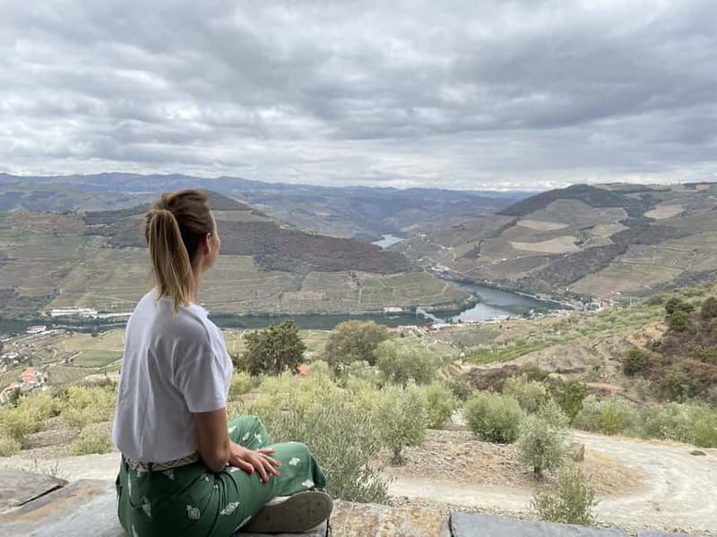 Douro Valley: Real Small-Group, Wine Tasting, Lunch & Boat - Who Is This Tour Best Suited For?