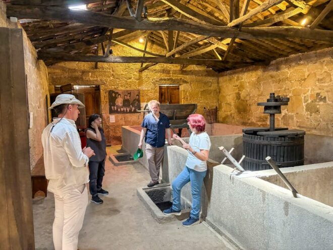 Douro Valley: Safari Wine Tour, Typical Lunch, Boat Ride - Itinerary Highlights