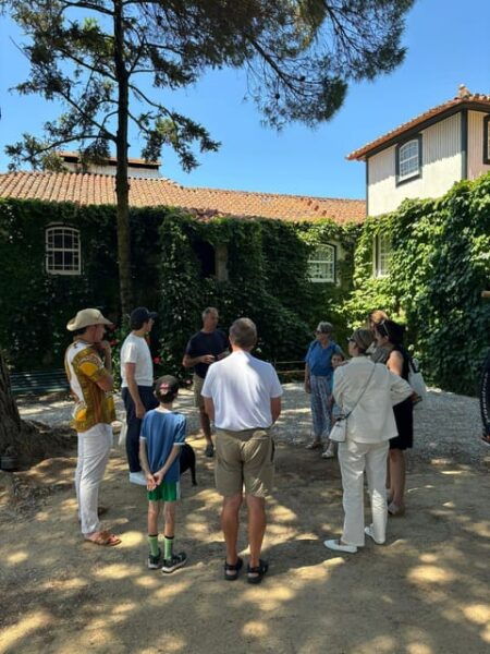 Douro Valley: Safari Wine Tour, Typical Lunch, Boat Ride - Inclusions and Exclusions