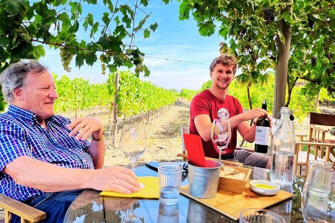 Douro Valley Semi-Private Tour With Two Wineries, Lunch and Optional Cruise - Tour Overview