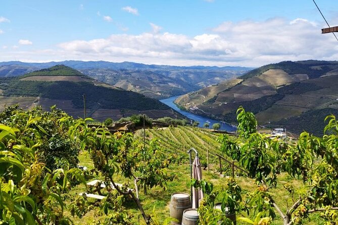 Douro Valley Semi-Private Tour With Two Wineries, Lunch and Optional Cruise - Additional Information