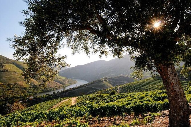 Douro Valley Semi-Private Tour With Two Wineries, Lunch and Optional Cruise - Tour Confirmation