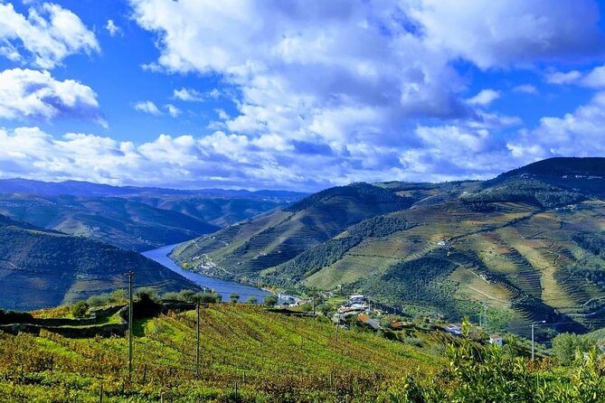 Douro Valley Semi-Private Tour With Two Wineries, Lunch and Optional Cruise - Accessibility and Transportation