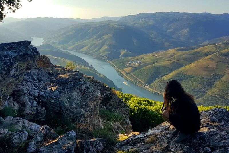 Douro Valley Small Group Day Tour with Lunch from Porto - What makes this Douro day worth considering