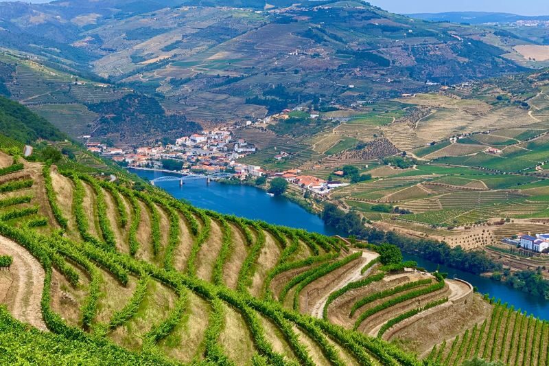 Douro Valley Small Group Day Tour with Lunch from Porto - Does the $165.95 starting price offer good value?