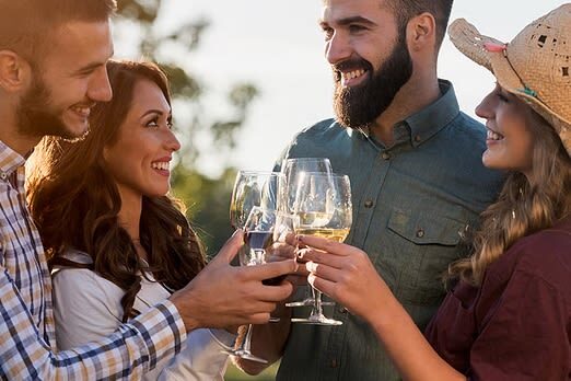 Douro Valley Small Group One-Day Wine Tour from Porto - The useful details at a glance