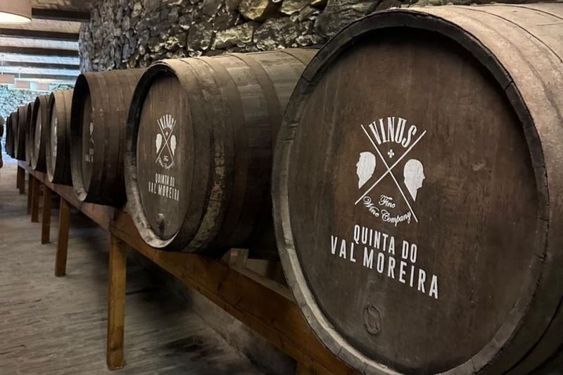 Douro Valley Small Group One-Day Wine Tour from Porto - Two wineries, with different tasting experiences