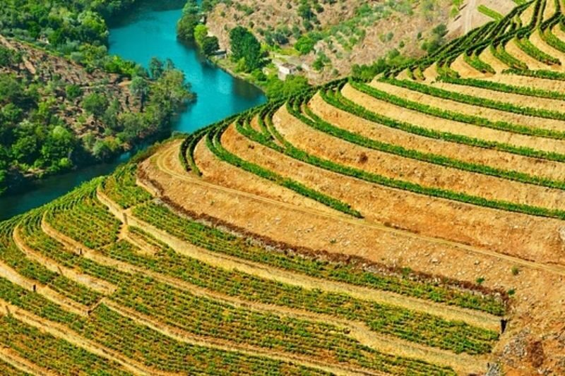 Douro Valley Small Group One-Day Wine Tour from Porto - A 45-minute cruise from Pinhão