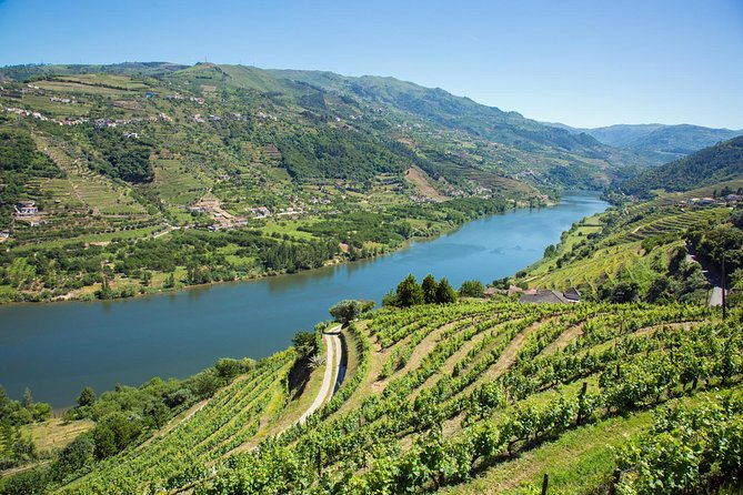 Douro Valley: Small-Group Tour Wine Tasting, Lunch & River Cruise - Excellent Guides and Service