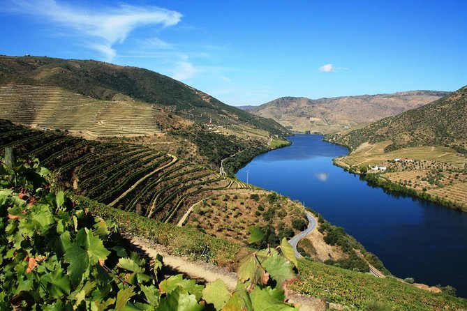 Douro Valley Small Group Tour With Wine Tasting From Porto - Pricing and Booking Details