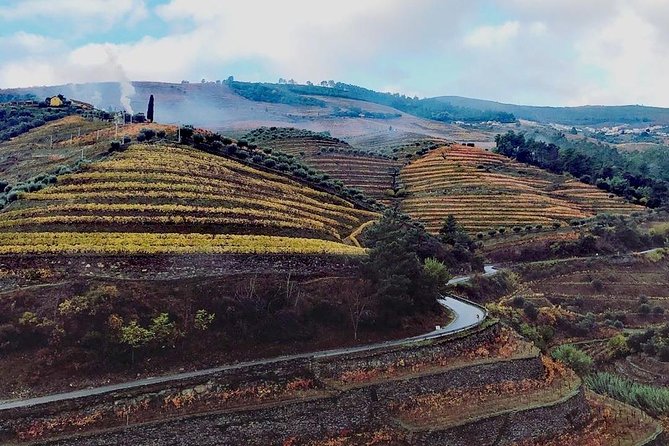 Douro Valley Small Group Tour With Wine Tasting From Porto - Tour Highlights