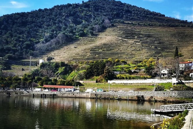 Douro Valley Small Group Tour With Wine Tasting From Porto - Negative Feedback
