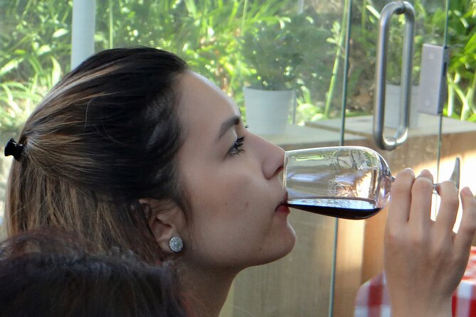 Douro Valley Small Group Tour With Wine Tasting, River Cruise and Lunch - Additional Details