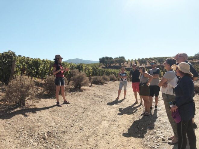 Douro Valley: Small-Group Wine Tasting Tour, Lunch & Boat - Additional Information and Flexible Booking
