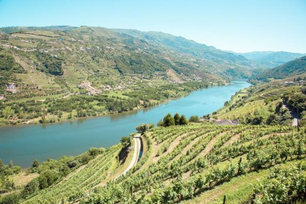 Douro Valley: Small-Group Wine Tasting Tour, Lunch & Boat - Visit Croft Vineyards and Learn About Winemaking