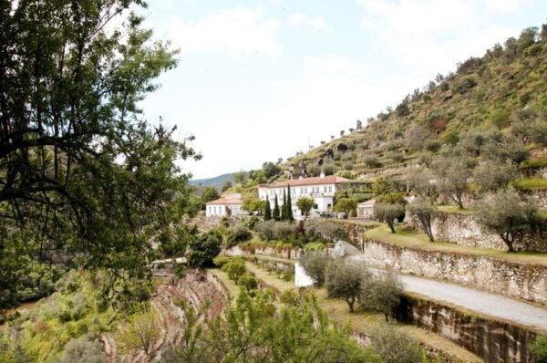Douro Valley: Small-Group Wine Tasting Tour, Lunch & Boat - Set out on a Scenic Boat Trip on the Douro River
