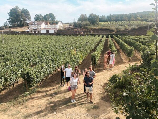 Douro Valley: Small-Group Wine Tasting Tour, Lunch & Boat - Common Questions