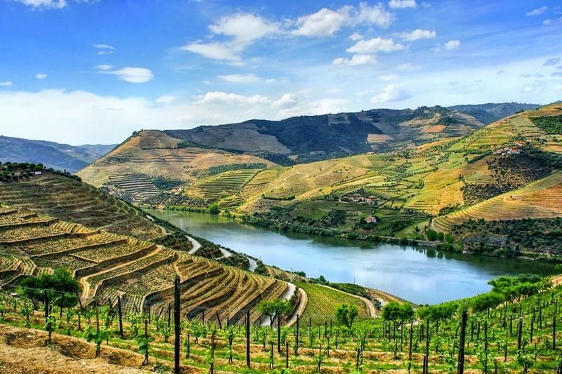 Douro Valley Small Group Wine Tour from Porto - At a glance: Porto to the Douro