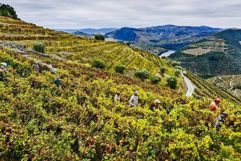 Douro Valley Small Group Wine Tour from Porto - Amarante: a short first stop