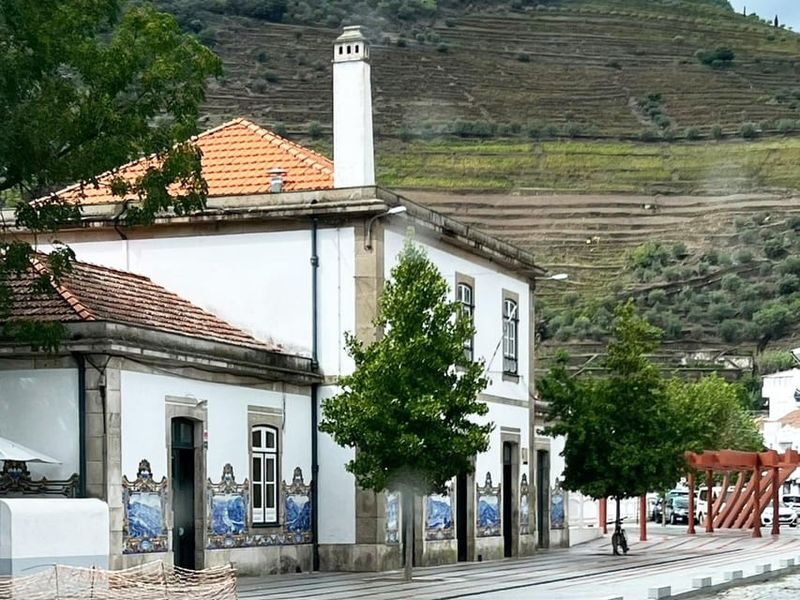 Douro Valley Small Group Wine Tour from Porto - Quinta do Seixo and the first tasting