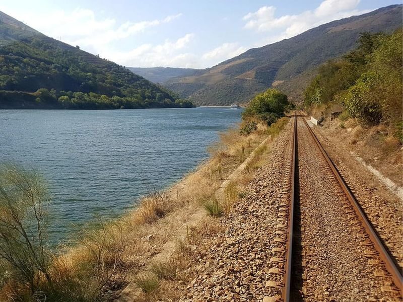 Douro Valley Small Group Wine Tour from Porto - A one-hour cruise on the Douro