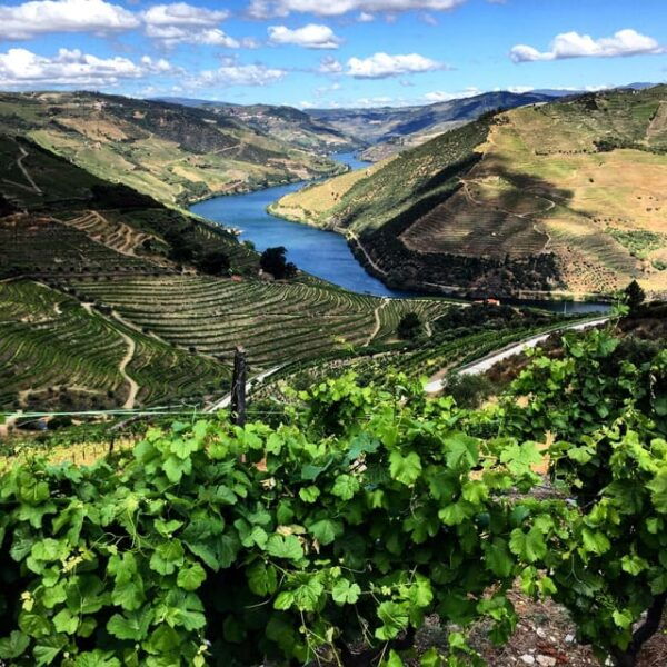 Douro Valley Tour - Duration and Languages