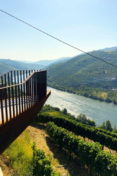 Douro Valley Tour - Price and Group Experience