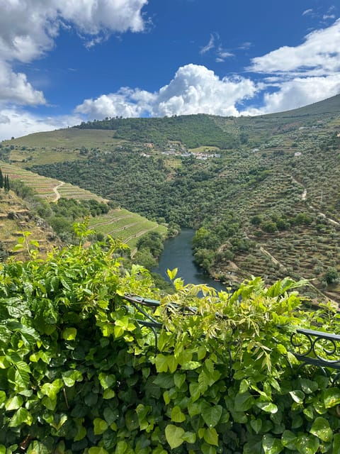 Douro Valley Tour - Itinerary Details