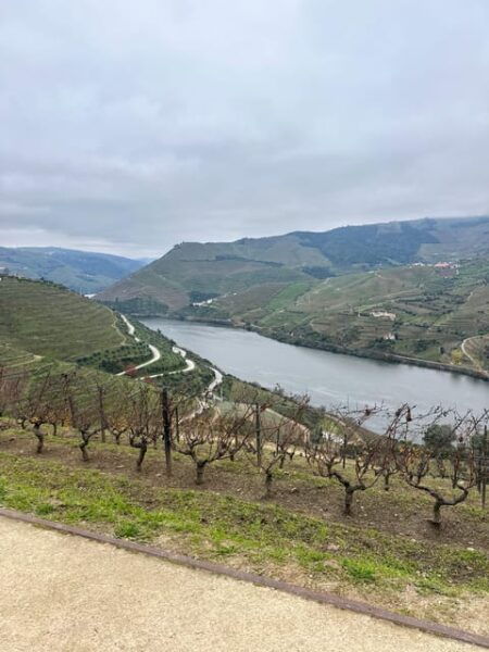Douro Valley Tour - Lunch and Boat Cruise