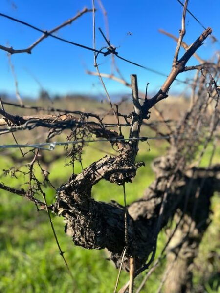 Douro Valley Tour - Frequently Asked Questions