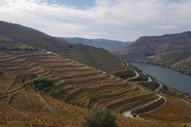 Douro Valley Tour From Peso Da Regua - Pricing and Booking Information