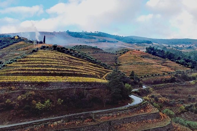 Douro Valley Tour From Porto With Wine, Lunch and River Cruise - Good To Know