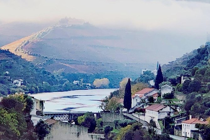 Douro Valley Tour From Porto With Wine, Lunch and River Cruise - Common Questions