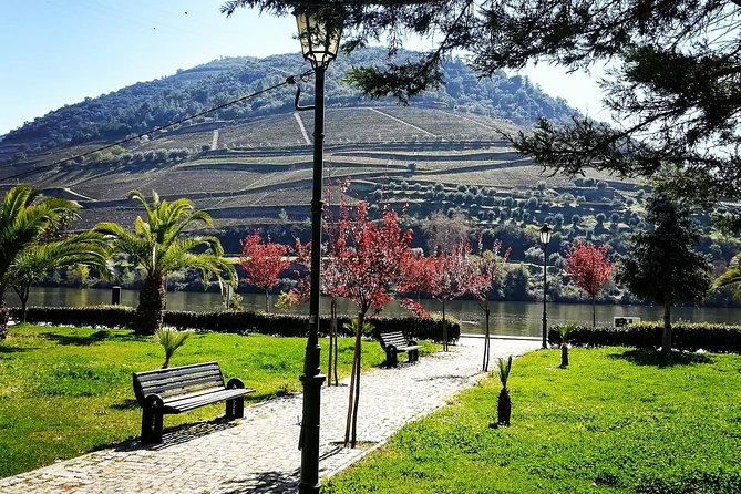 Douro Valley Tour From Porto With Wine, Lunch and River Cruise - The Sum Up
