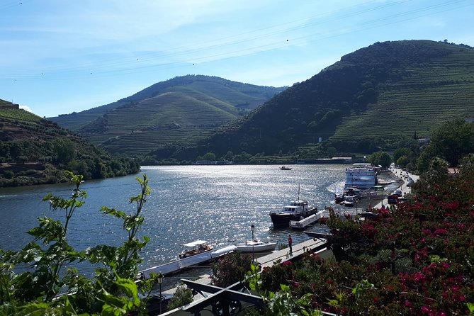 Douro Valley Tour (wine & Food) - Upgrading to the Rabelo Sightseeing Tour