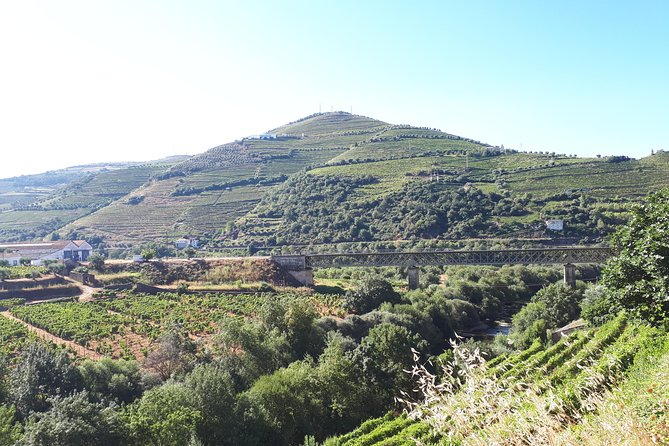 Douro Valley Tour (wine & Food) - Turismo De Portugal Certified Clean & Safe Company