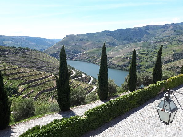 Douro Valley Tour (wine & Food) - Authentic Traveler Reviews and Ratings