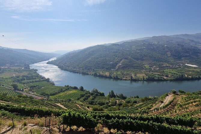 Douro Valley Tour: Wine Tasting River Cruise and Lunch From Porto - Pickup and Logistics