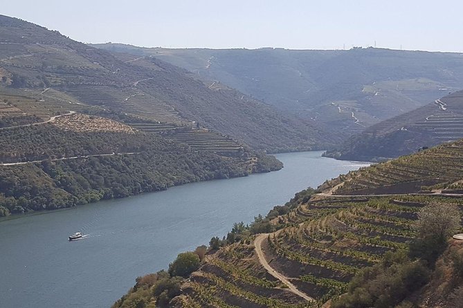 Douro Valley Tour: Wine Tasting River Cruise and Lunch From Porto - Traveler Photos and Reviews