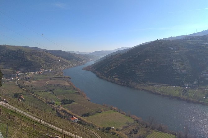 Douro Valley Tour: Wine Tasting River Cruise and Lunch From Porto - Accommodation and Meeting Point Information