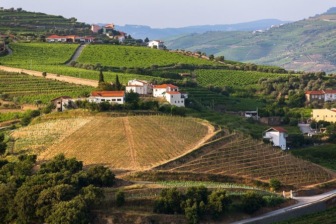 Douro Valley Tour: Wine Tasting, River Cruise & Lunch From Porto - Common Questions